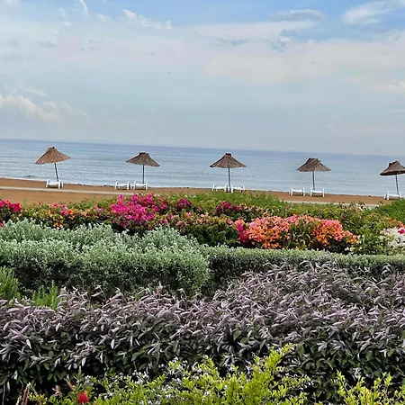 Peaceful Run-a-way By The Sea