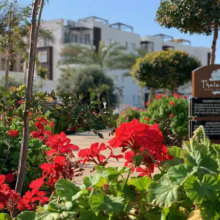 Apartment Peaceful Run-a-way By The Sea