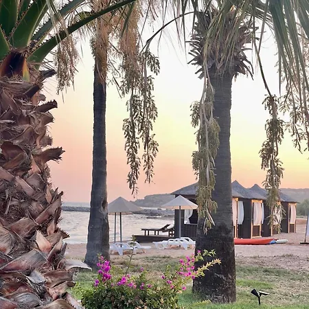 Peaceful Run-a-way By The Sea *