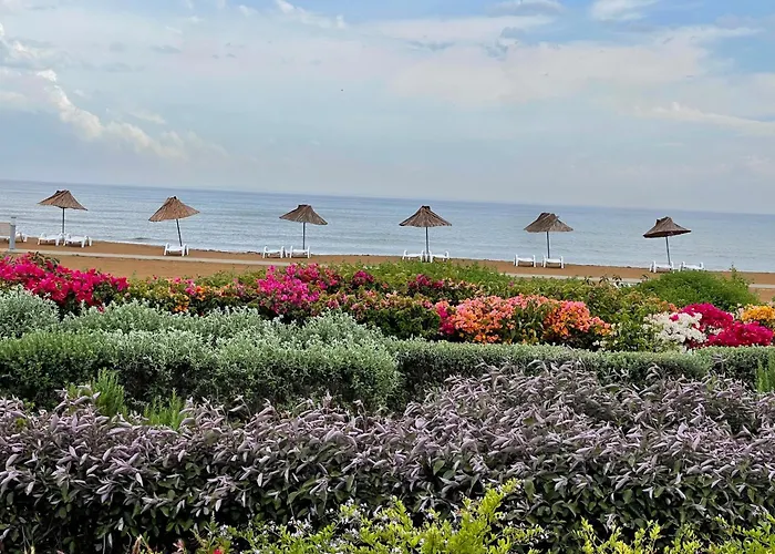 Peaceful Run-a-way By The Sea